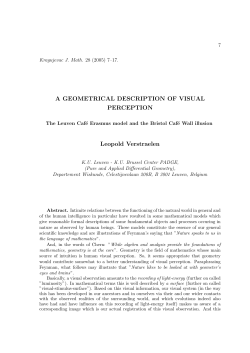 A GEOMETRICAL DESCRIPTION OF VISUAL PERCEPTION