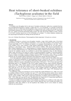 Heat tolerance of short-beaked echidnas - UQ eSpace