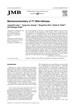 Mechanochemistry of T7 DNA Helicase