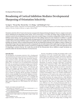Broadening of Cortical Inhibition Mediates Developmental