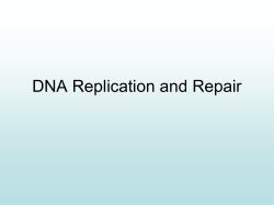 02. DNA Replication and repair