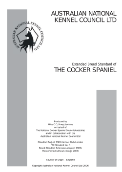 Basenji Extensions - Cocker Spaniel Club of Queensland