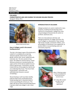 Role of Collagen in Wounds Support Paper