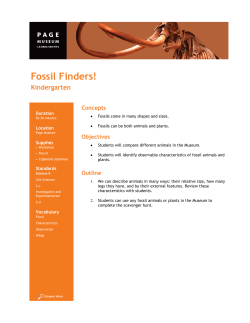 Fossil Finders! - La Brea Tar Pits and Museum