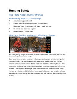 Facts About Hunter Orange