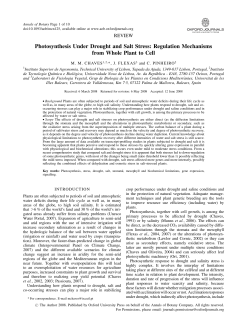 Photosynthesis Under Drought and Salt Stress: Regulation