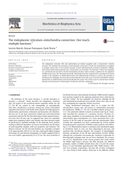 Author`s personal copy - Consorzio Futuro in Ricerca