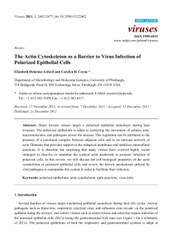 The Actin Cytoskeleton as a Barrier to Virus Infection of Polarized