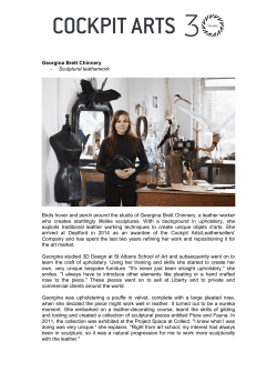 Georgina Brett Chinnery - Sculptural leatherwork Birds hover and