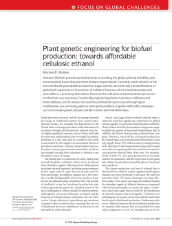 Plant genetic engineering for biofuel production: towards affordable