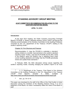 Auditor`s Reporting Model