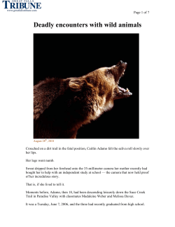 Deadly encounters with wild animals