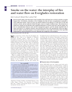 Smoke on the water: the interplay of fire and water flow on