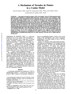 A Mechanism of Torsades de Pointes in a Canine Model