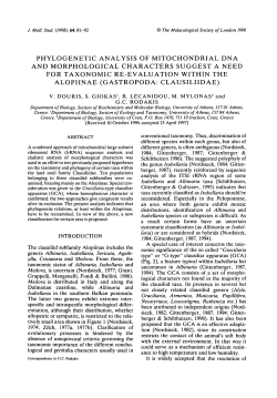 phylogenetic analysis of mitochondrial dna and