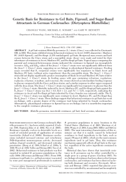 Genetic Basis for Resistance to Gel Baits, Fipronil, and Sugar