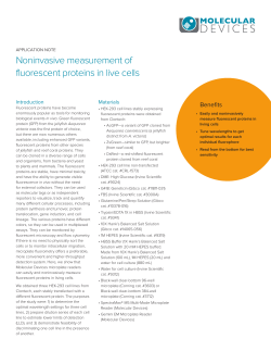 Noninvasive measurement of fluorescent proteins in live cells