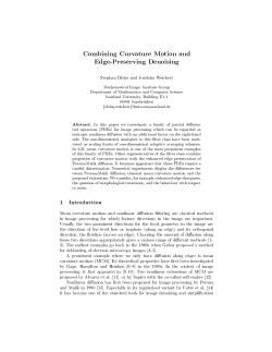 Combining Curvature Motion and Edge