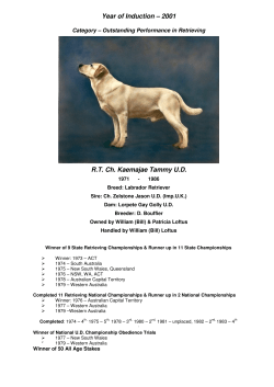 RT Ch KAEMAJAE TAMMY U.D.