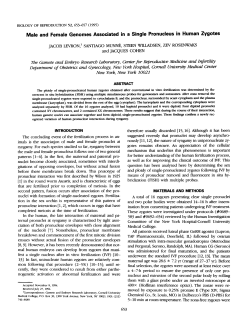Male and Female Genomes Associated in a Single Pronucleus in