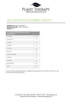 Grapefruit G50101