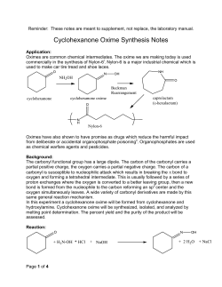 Cyclohexanone Oxime Synthesis Notes