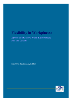 Flexibility in Workplaces