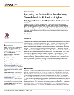 Bypassing the Pentose Phosphate Pathway: Towards Modular
