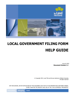 Local Government Filing Form Help Guide
