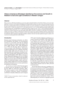 Rubus armeniacus (Himalayan blackberry) Occurrence and Growth
