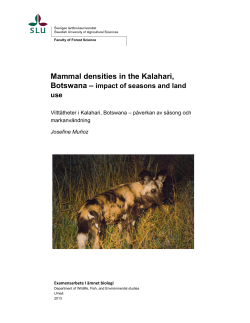 Mammal densities in the Kalahari