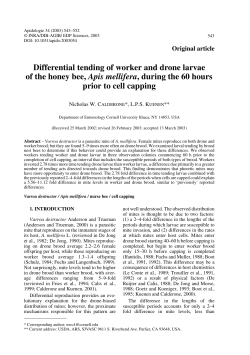Differential tending of worker and drone larvae of the honey bee