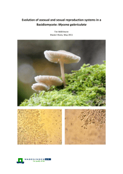 Evolution of asexual and sexual reproduction systems