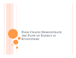 FOOD CHAINS DEMONSTRATE THE FLOW OF ENERGY IN