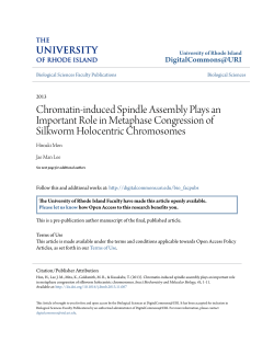 Chromatin-induced Spindle Assembly Plays an Important Role in