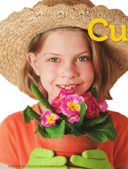 Cultivating Algebraic Representations