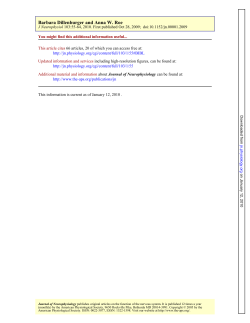Influence of parallel and orthogonal real lines on illusory contour