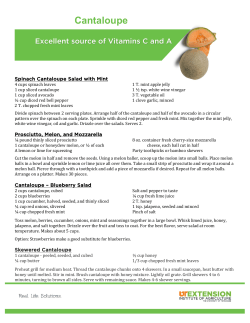 Cantaloupe - University of Tennessee Extension
