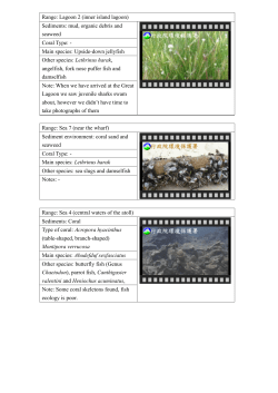 Underwater video recording