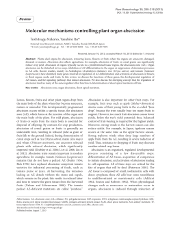 Molecular mechanisms controlling plant organ abscission