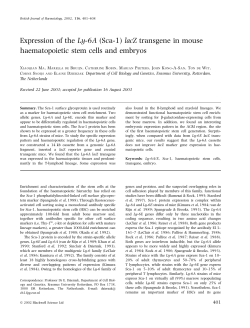 Expression of the Ly-6A (Sca-1) lacZ transgene in mouse