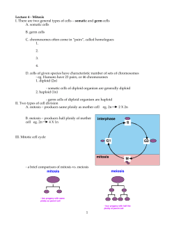 somatic and germ cells A. somatic cells B. germ cells