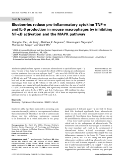 Blueberries reduce pro-inflammatory cytokine TNF