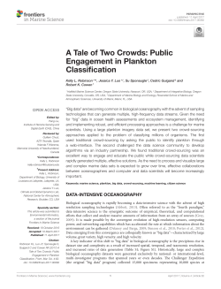 A Tale of Two Crowds: Public Engagement in Plankton Classification