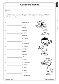 Collective Nouns