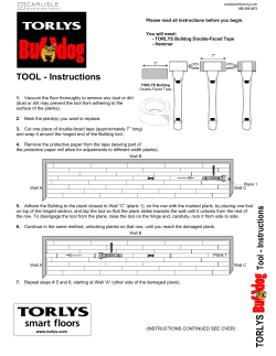 Torlys Bulldog Replacer
