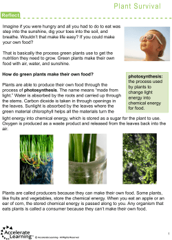 Plant Survival