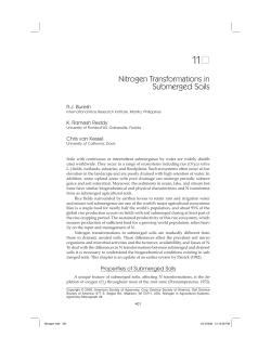 Nitrogen Transformations in Submerged Soils
