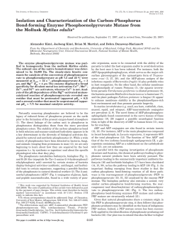 Isolation and Characterization of the Carbon&ndash;Phosphorus Bond