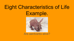 Eight Characteristics of Life Example.